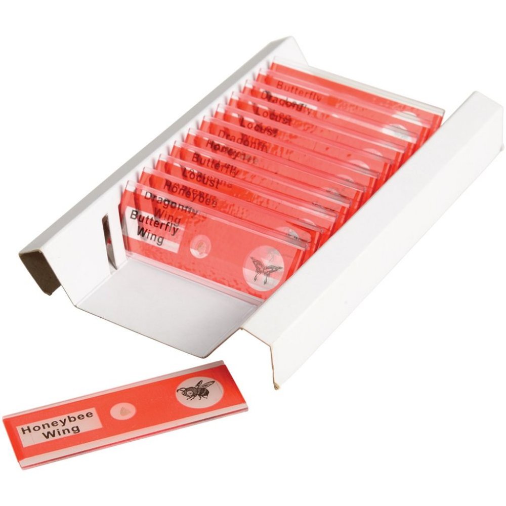 Insect Slide Science Kit